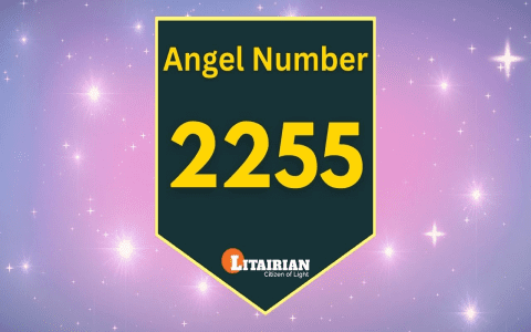 Seeing 255 Angel Number? Discover Its Secret Message Now!