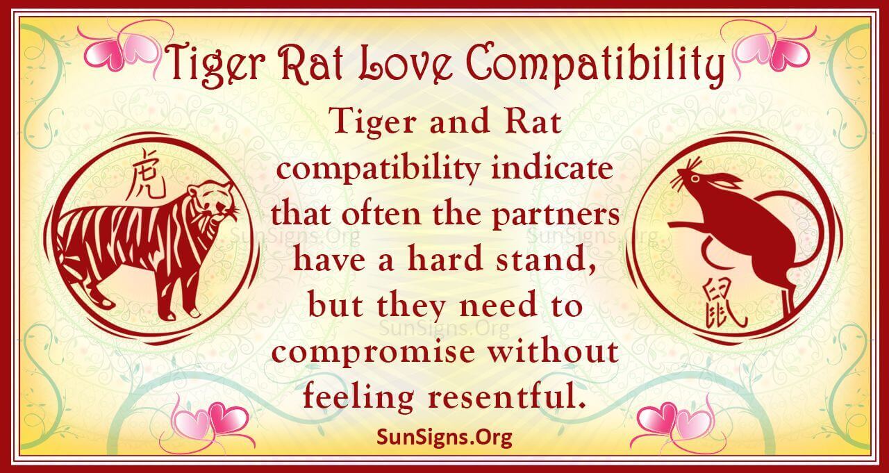 Tiger and Rat Love Match: Is It a Good or Bad Idea?