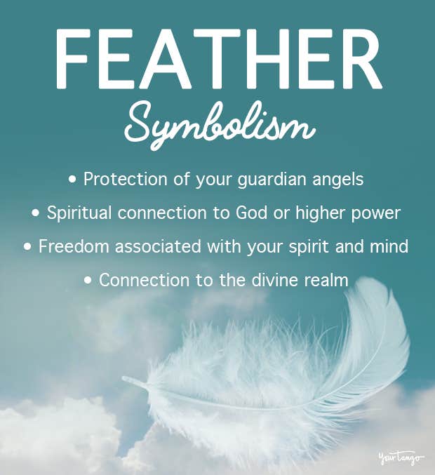 Find a Feather Meaning: Dreaming of a Feather Lucky Signs