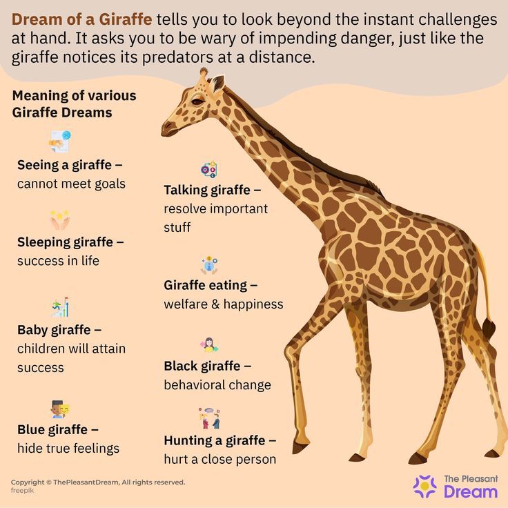 Dreaming of a Giraffe: Positive Meanings and Interpretations