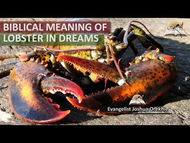 Unlocking the Biblical Message Behind Lobster Dreams