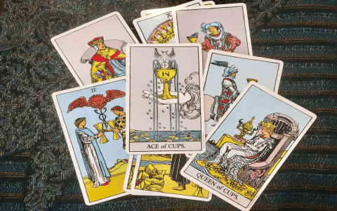 9 of Cups as Feelings Your Guide to Understanding Tarot Readings