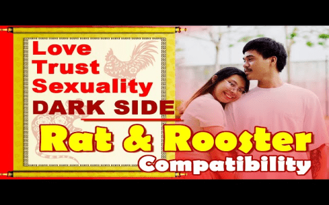 Dating a Rat if Youre a Rooster: What to Expect