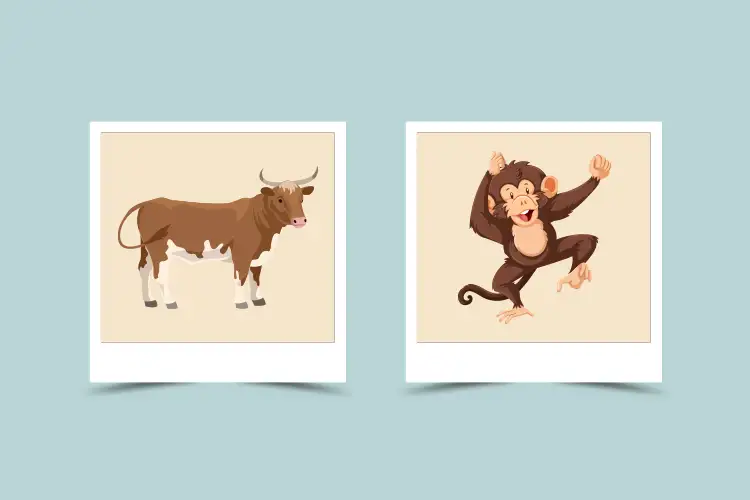 Ox and Monkey Compatibility: Do These Two Signs Really Get Along in Love?