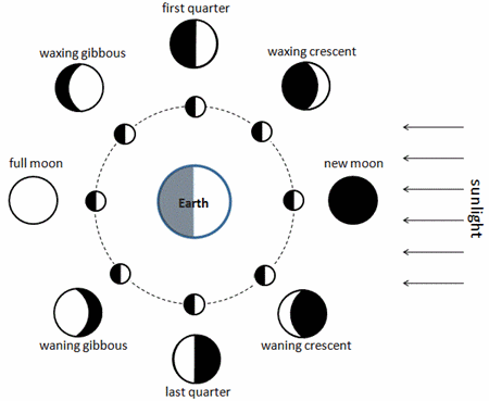 Best Cancer Moon Haircut: Easy Styling Tips for Every Lunar Phase