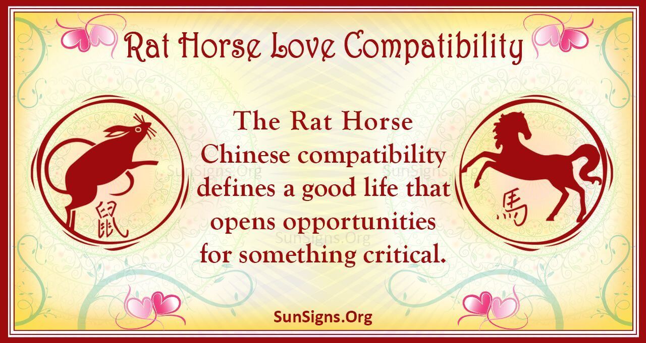 Rat Horse Compatibility: What to Expect in a Relationship