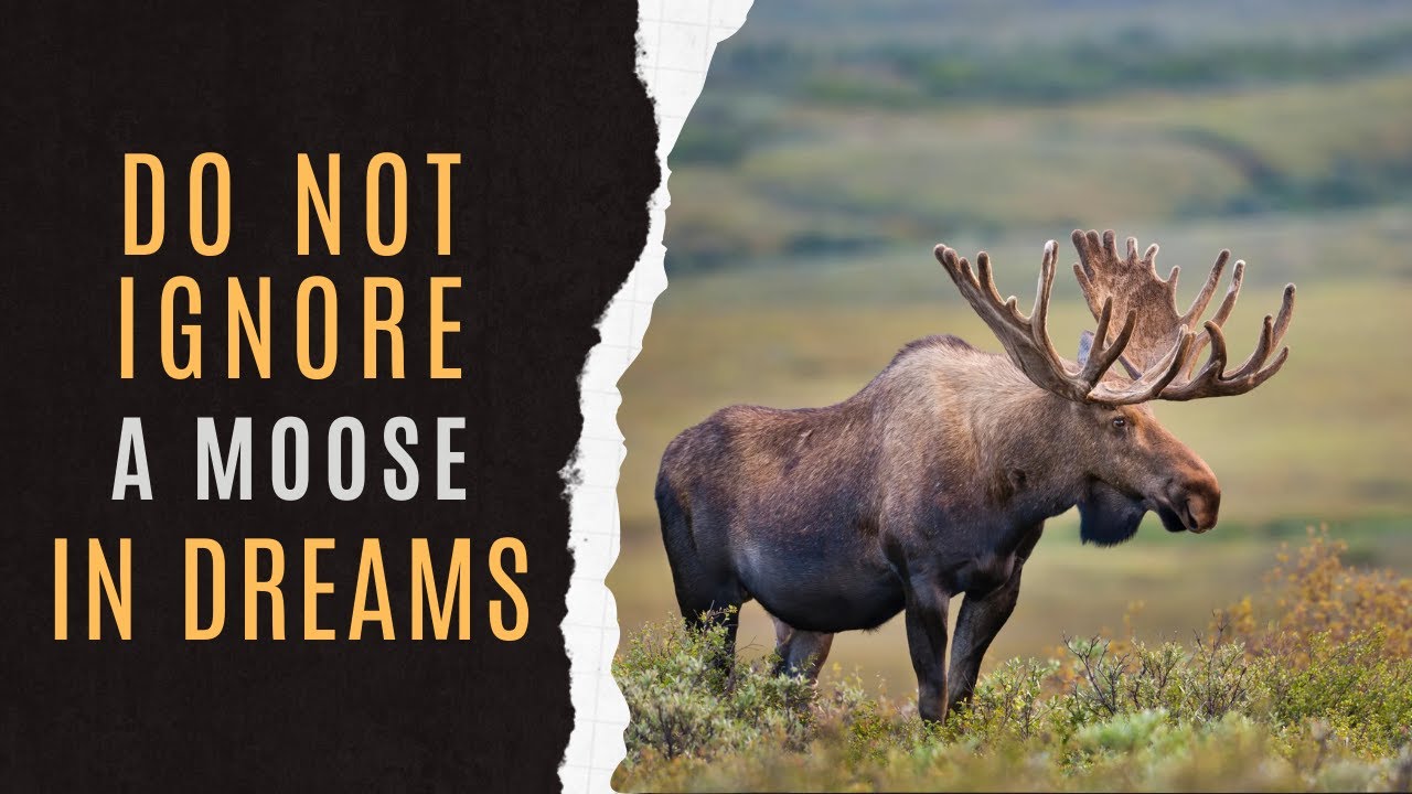 Dream About Moose Meaning: Unlocking Your Subconscious