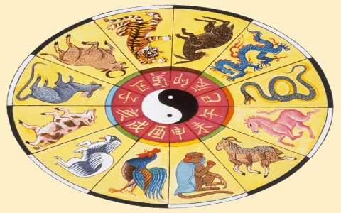 Rat and Rooster in the Chinese Zodiac: What Does it Mean? (Simple Explanation for Beginners)