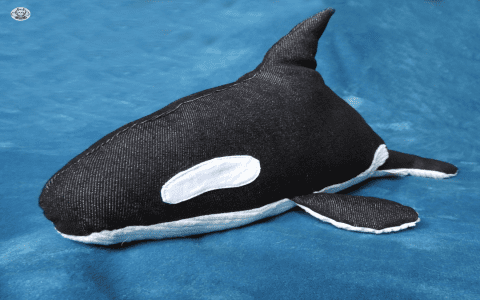 Seeing Killer Whales in Dreams? Find Out the Meaning Here