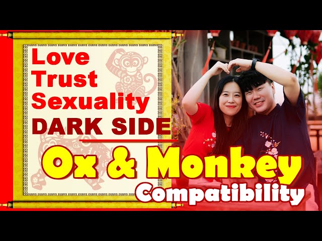 Monkey and Ox Compatibility in Love: Can This Unlikely Couple Find Lasting Happiness?