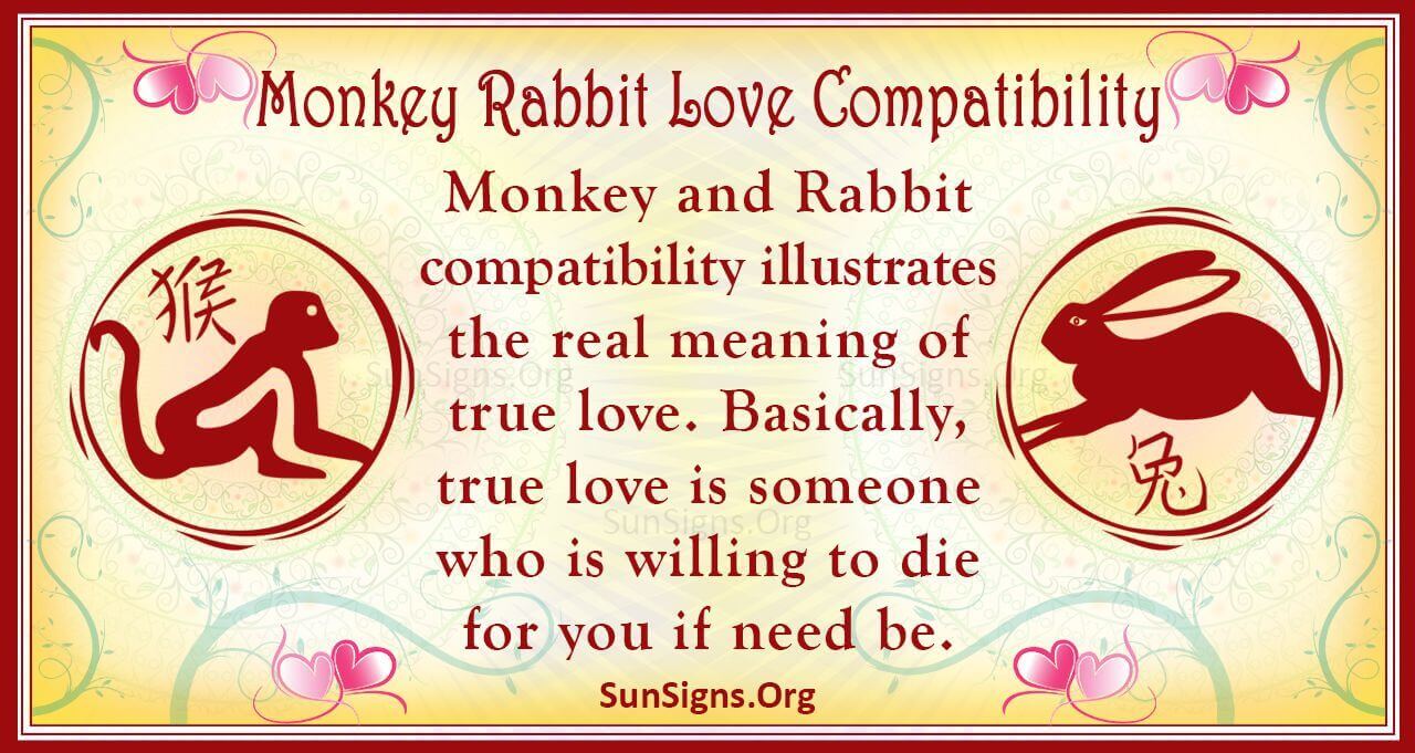 Monkey and Rabbit Compatibility: What You Need to Know Before Dating!